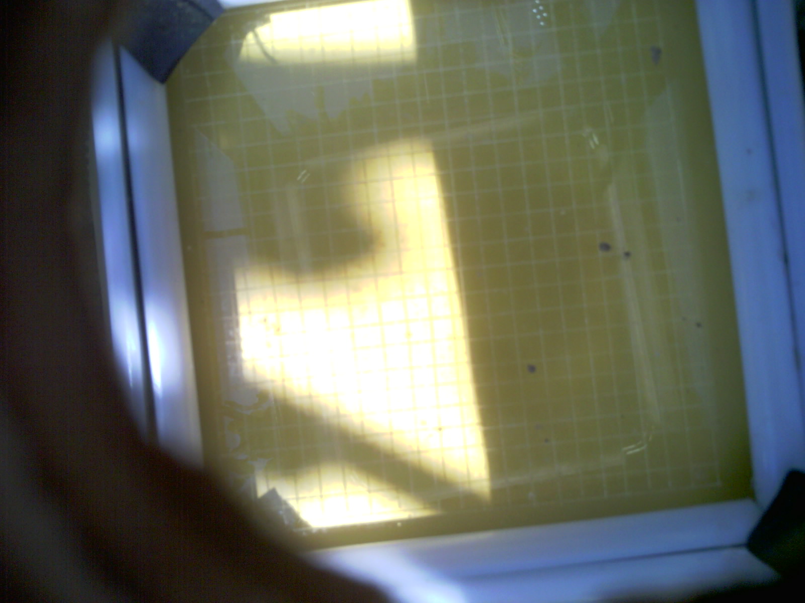 20260705_125605_UXGA_Q3.jpg