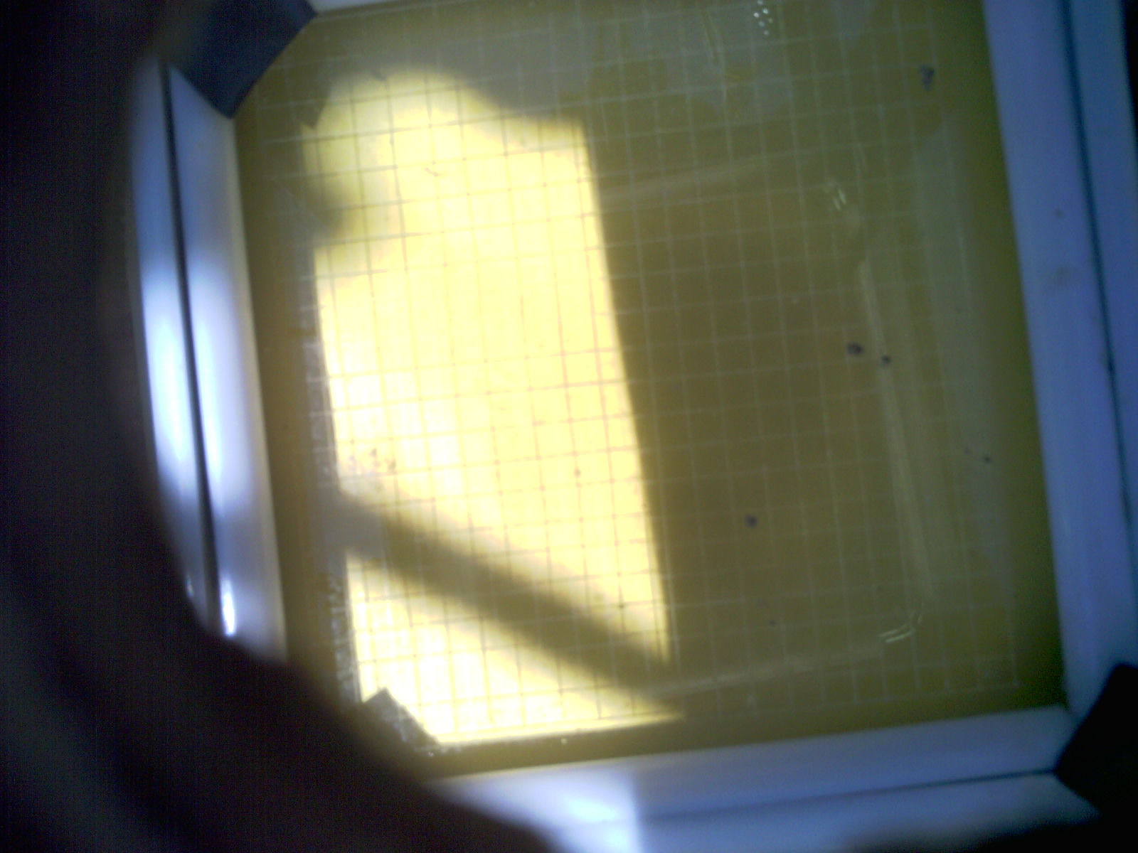 20260705_130143_UXGA_Q3.jpg