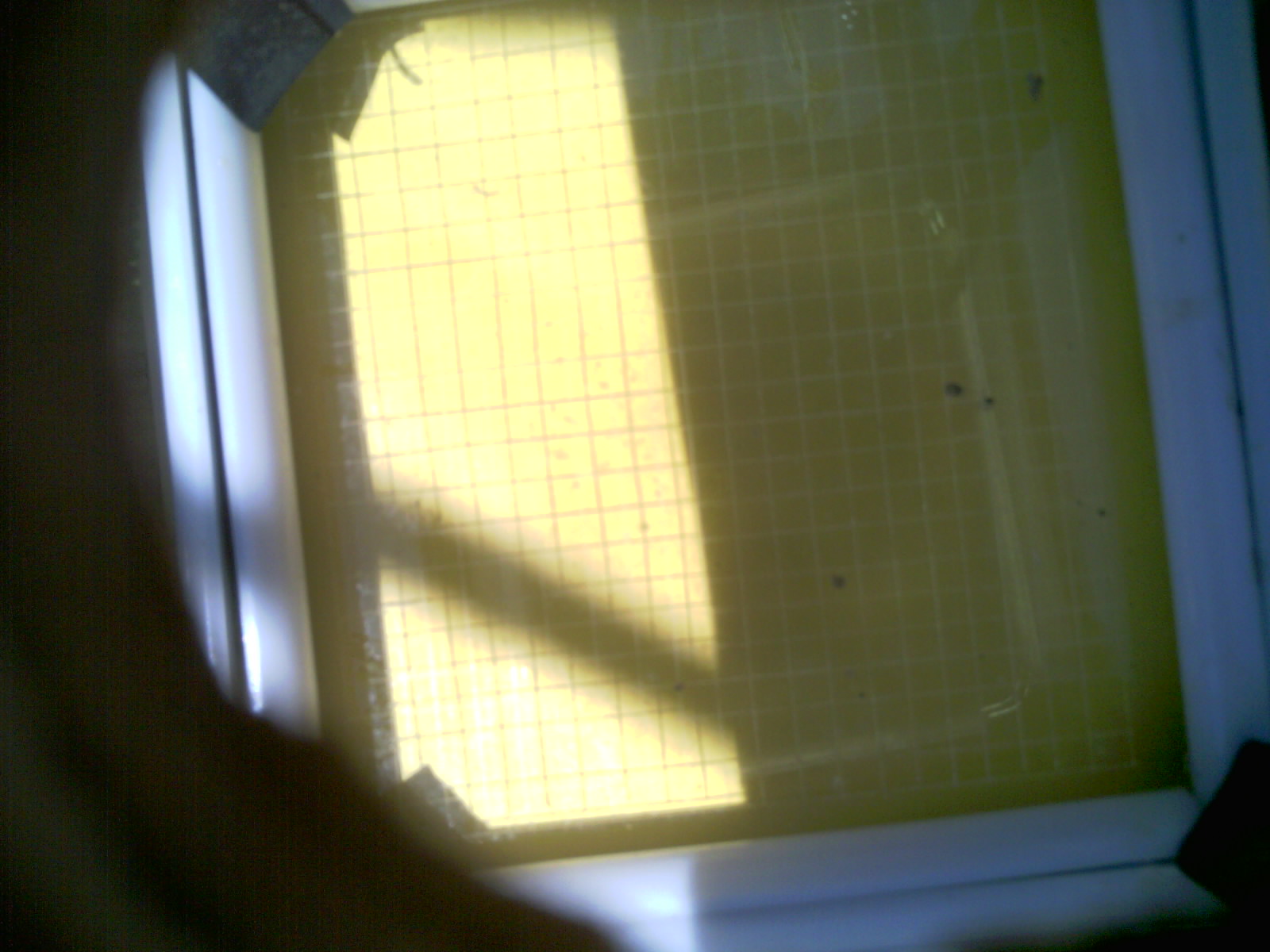 20260705_130723_UXGA_Q3.jpg