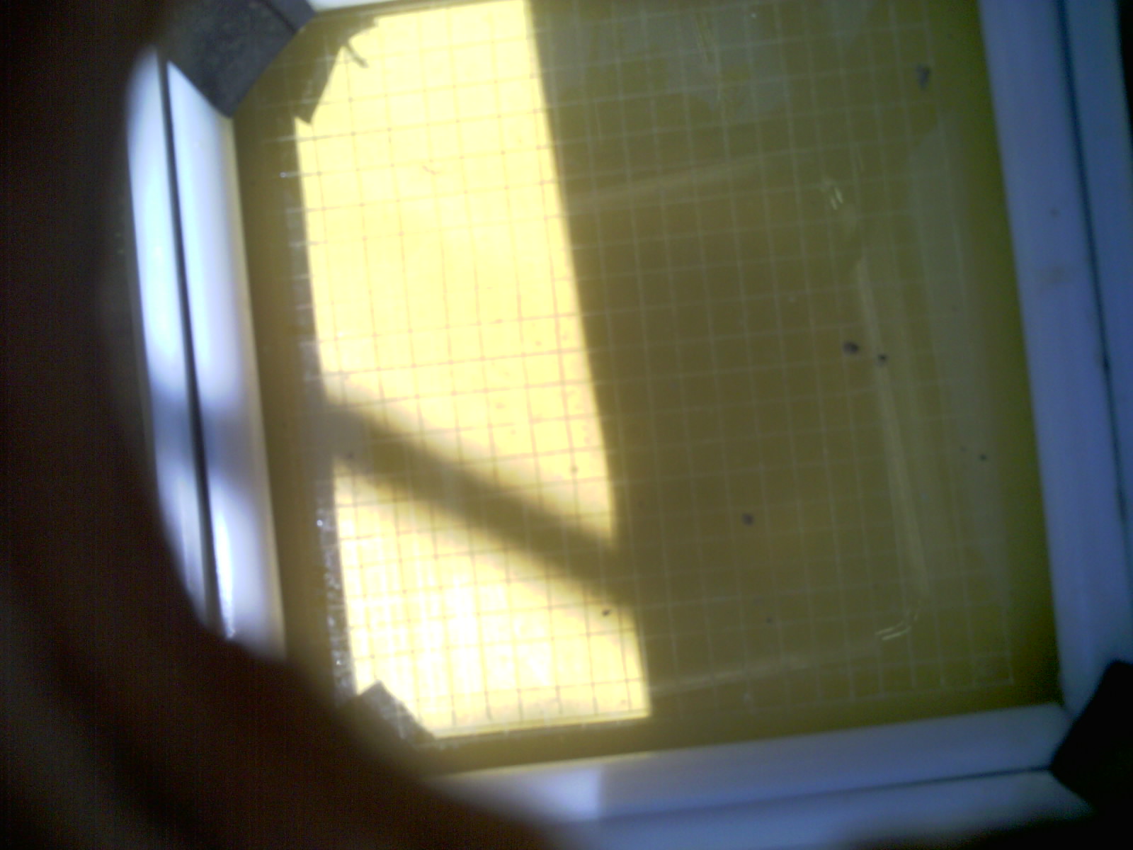 20260705_131304_UXGA_Q3.jpg