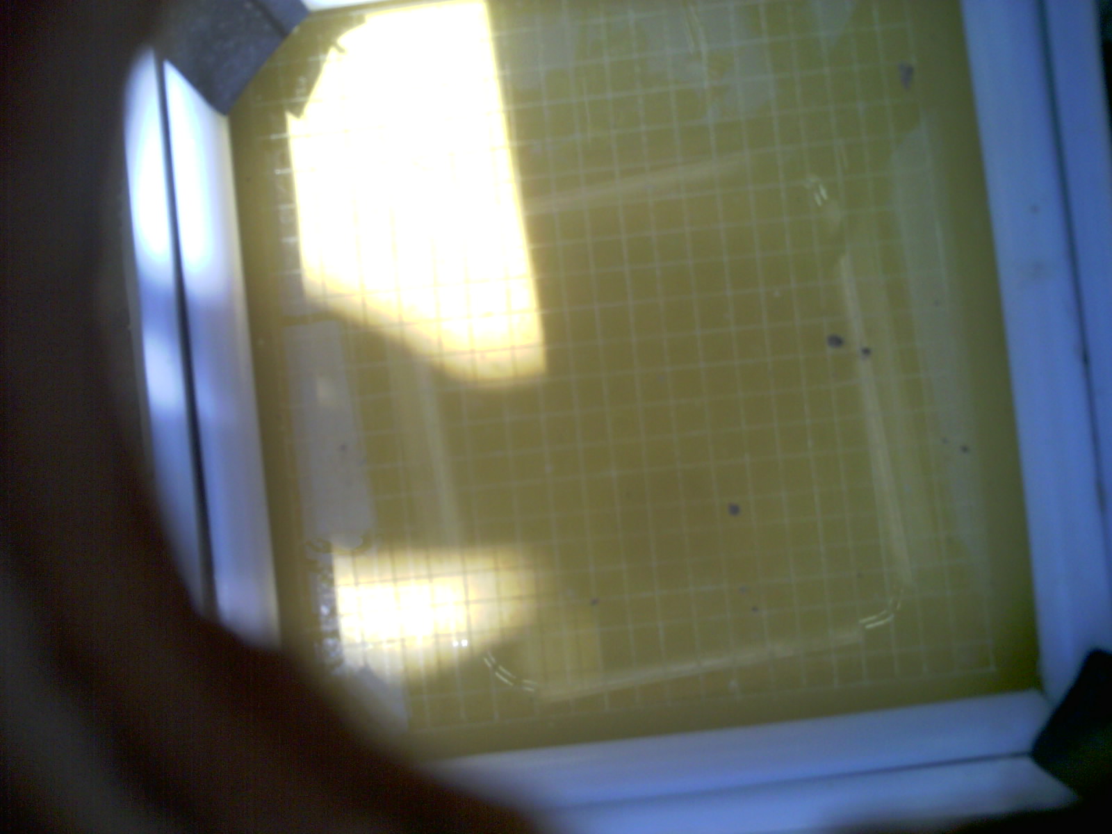 20260705_132424_UXGA_Q3.jpg