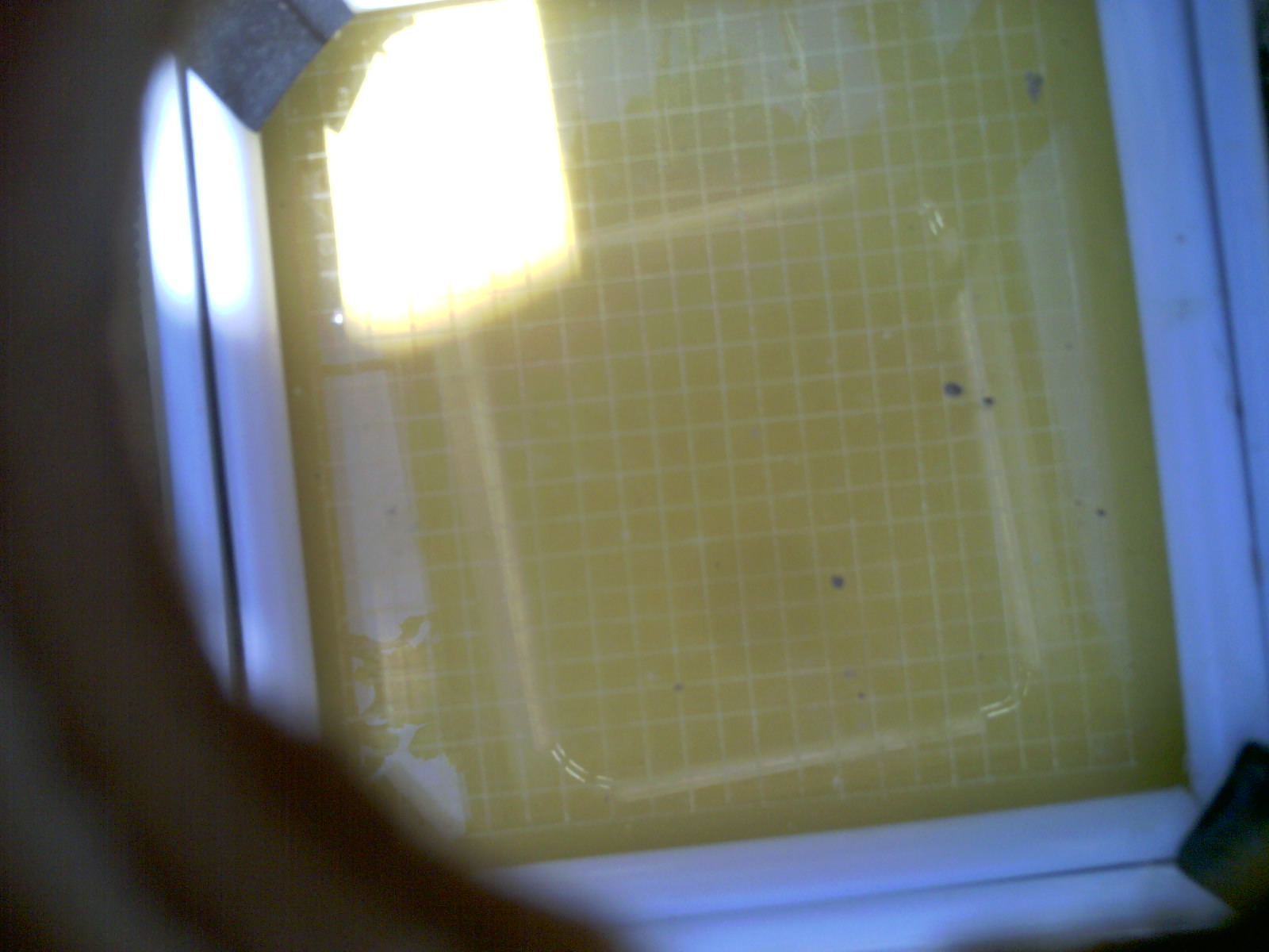 20260705_133011_UXGA_Q3.jpg