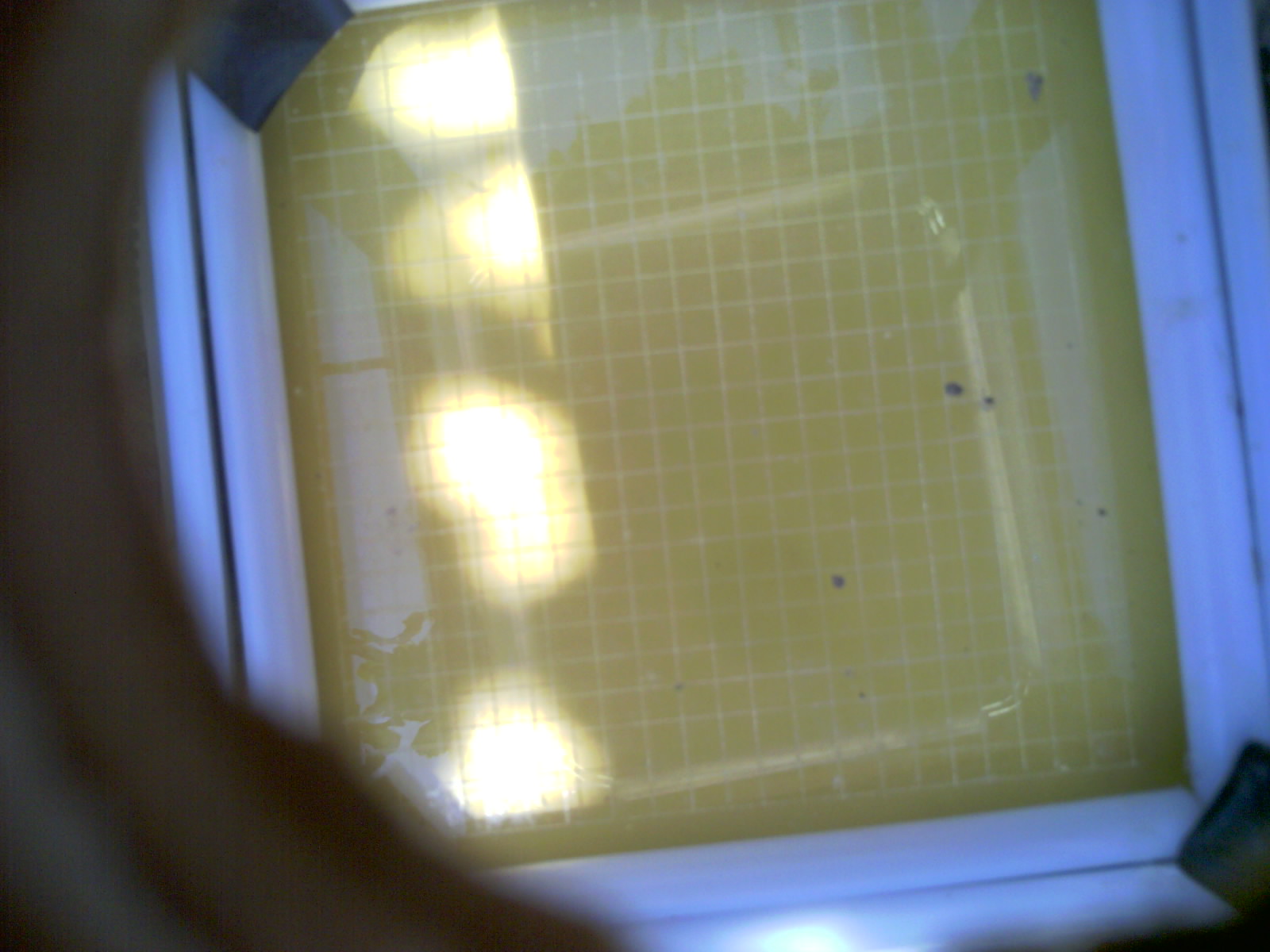 20260705_134133_UXGA_Q3.jpg