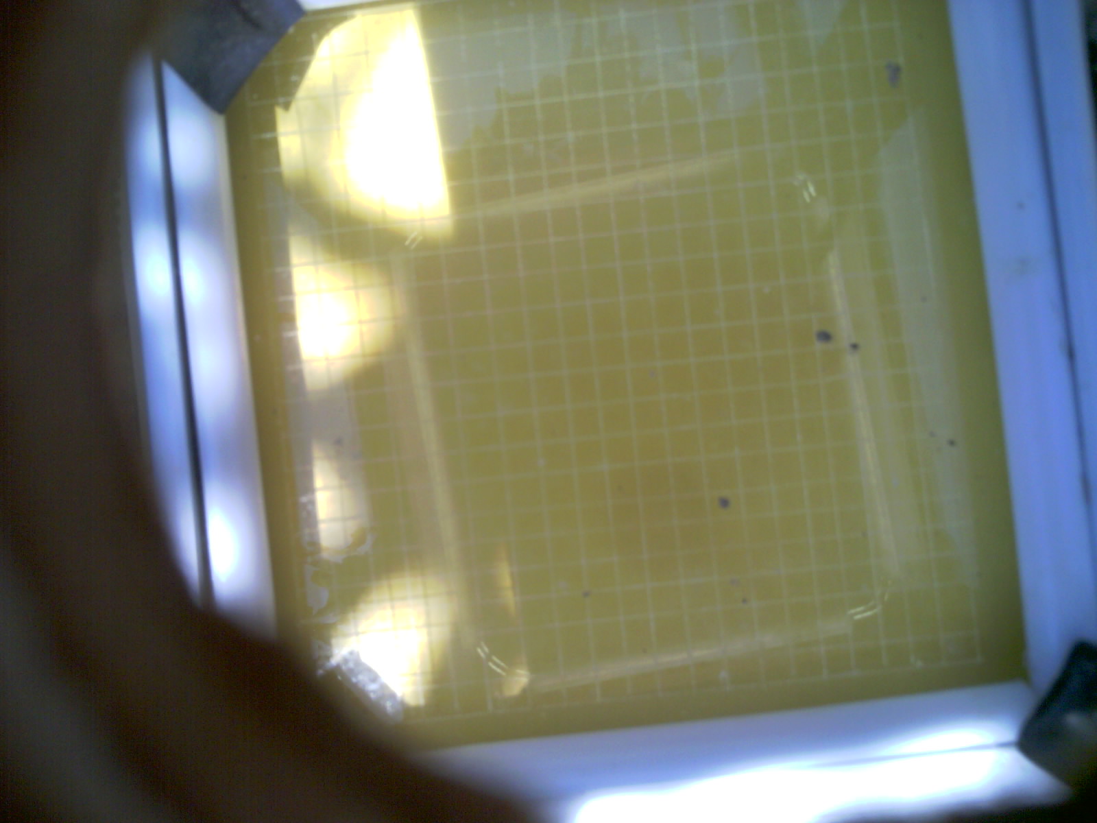 20260705_134712_UXGA_Q3.jpg