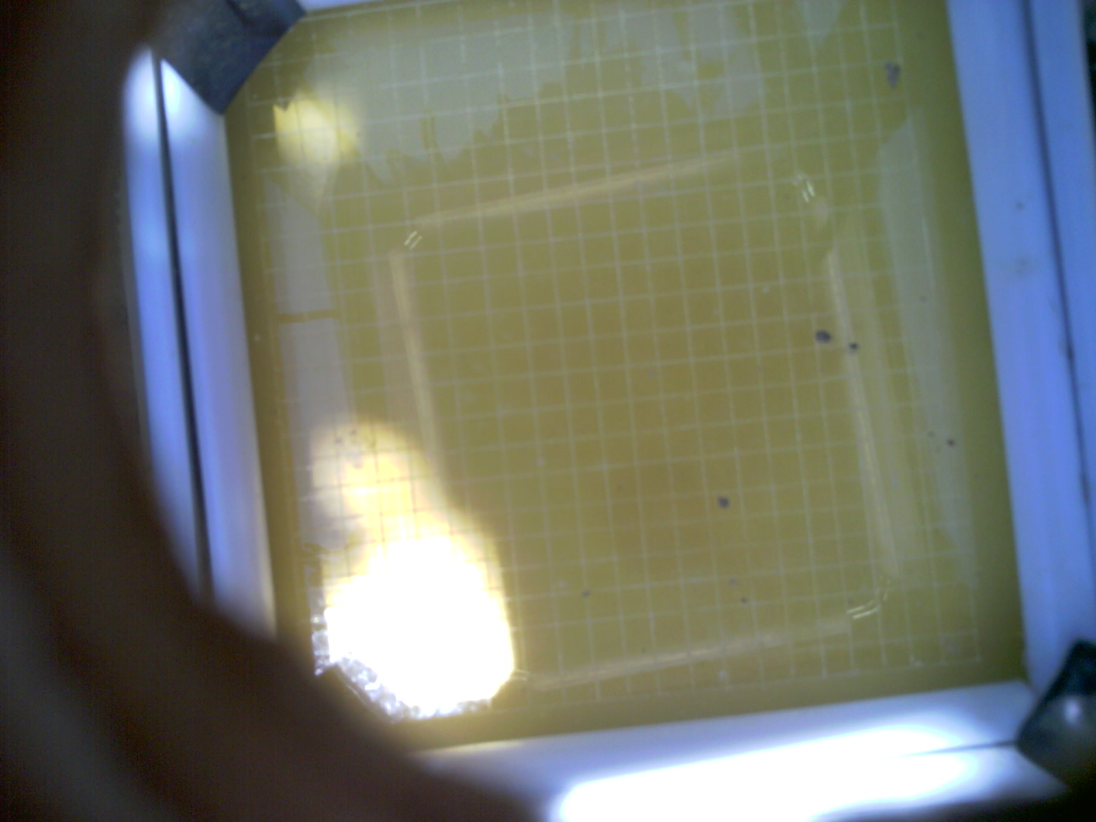 20260705_135251_UXGA_Q3.jpg