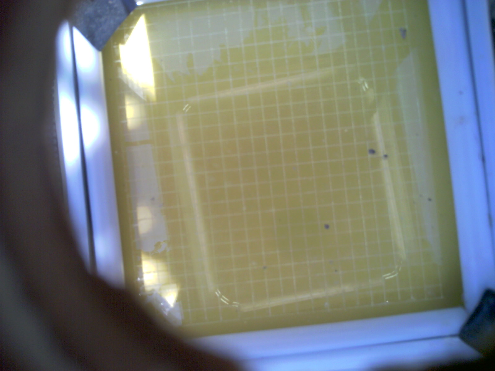 20260705_142433_UXGA_Q3.jpg