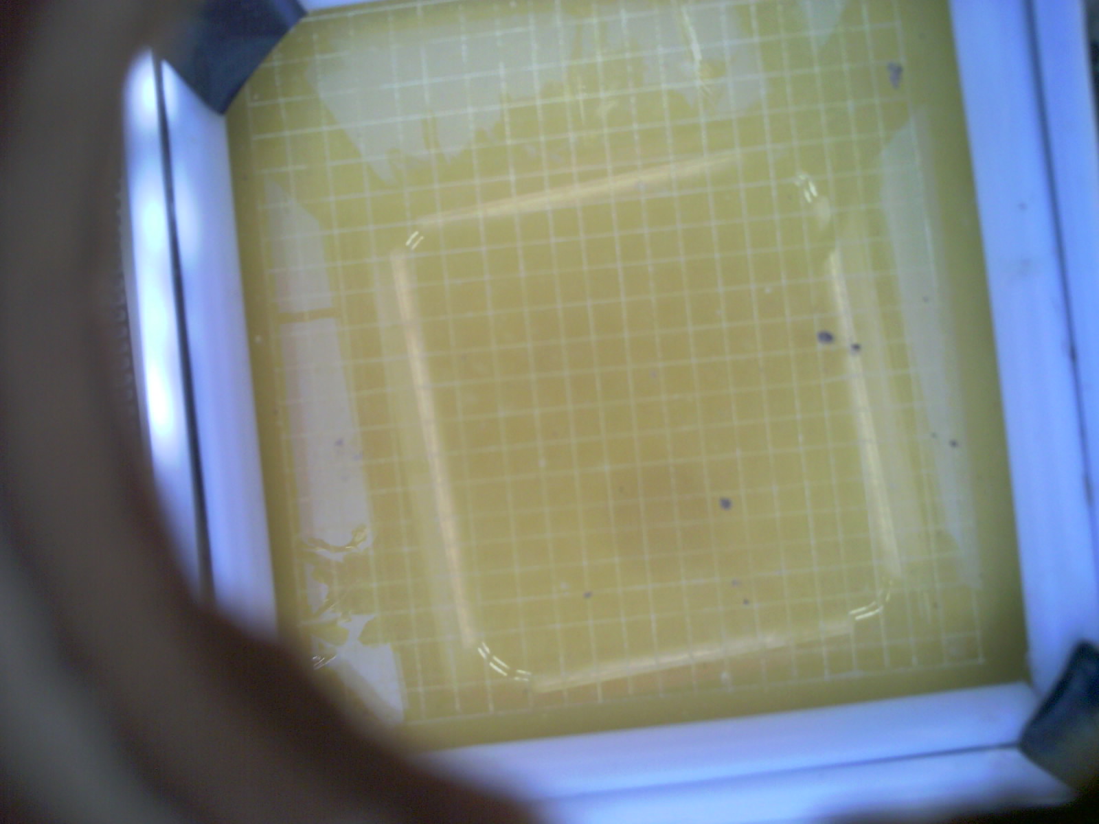 20260705_150018_UXGA_Q3.jpg