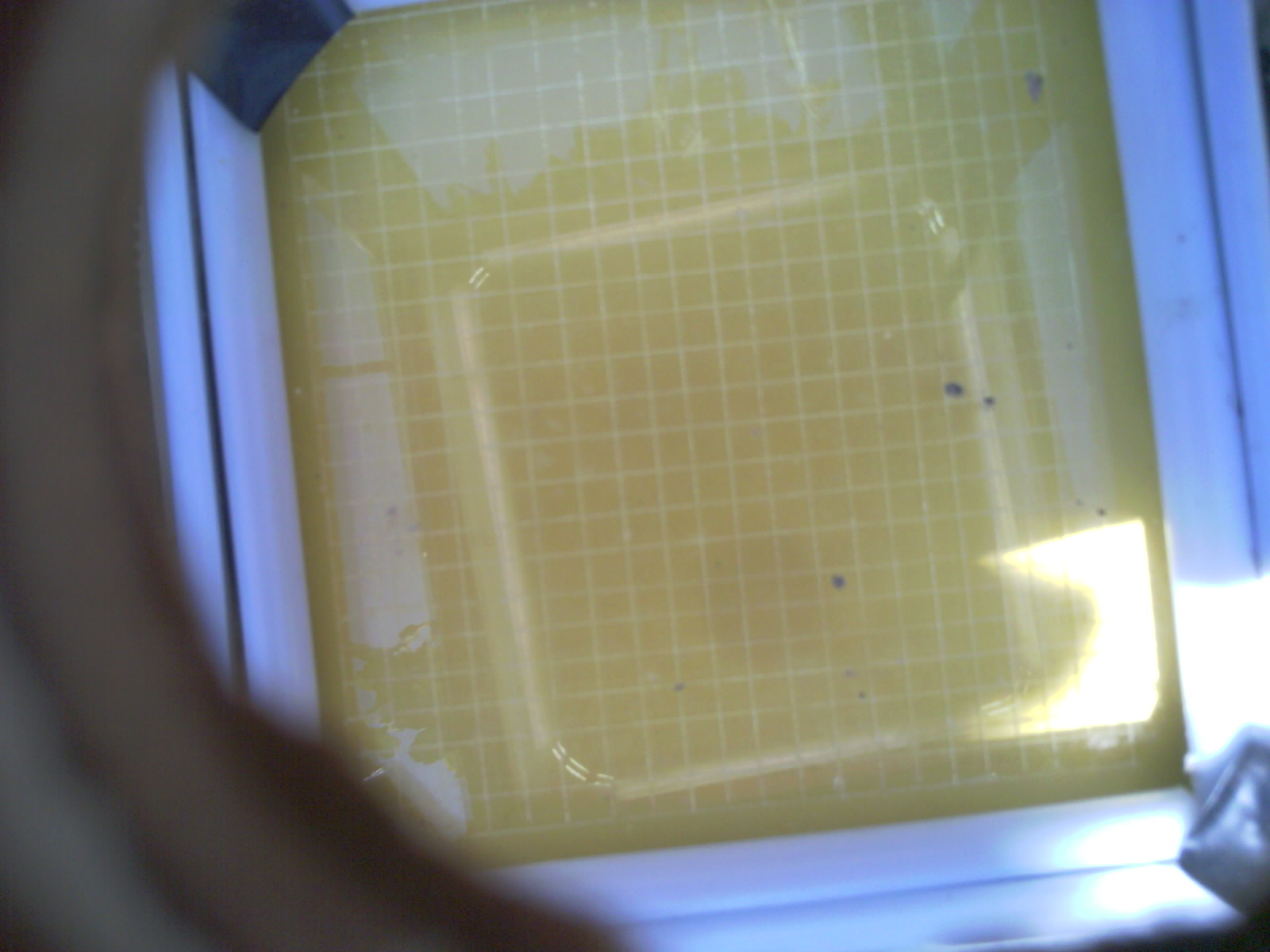 20260705_150659_UXGA_Q3.jpg
