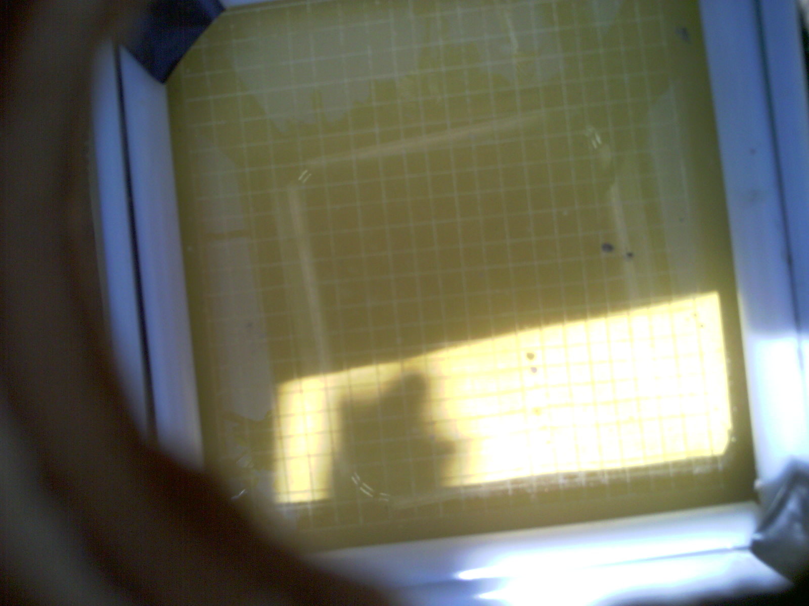 20260705_152657_UXGA_Q3.jpg