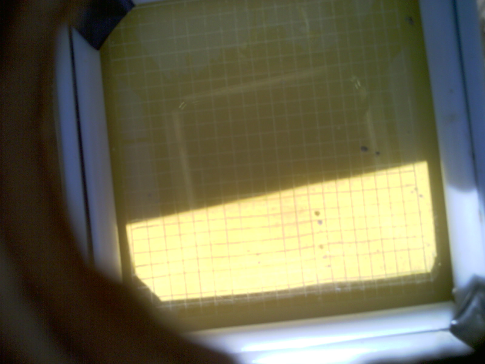20260705_154037_UXGA_Q3.jpg