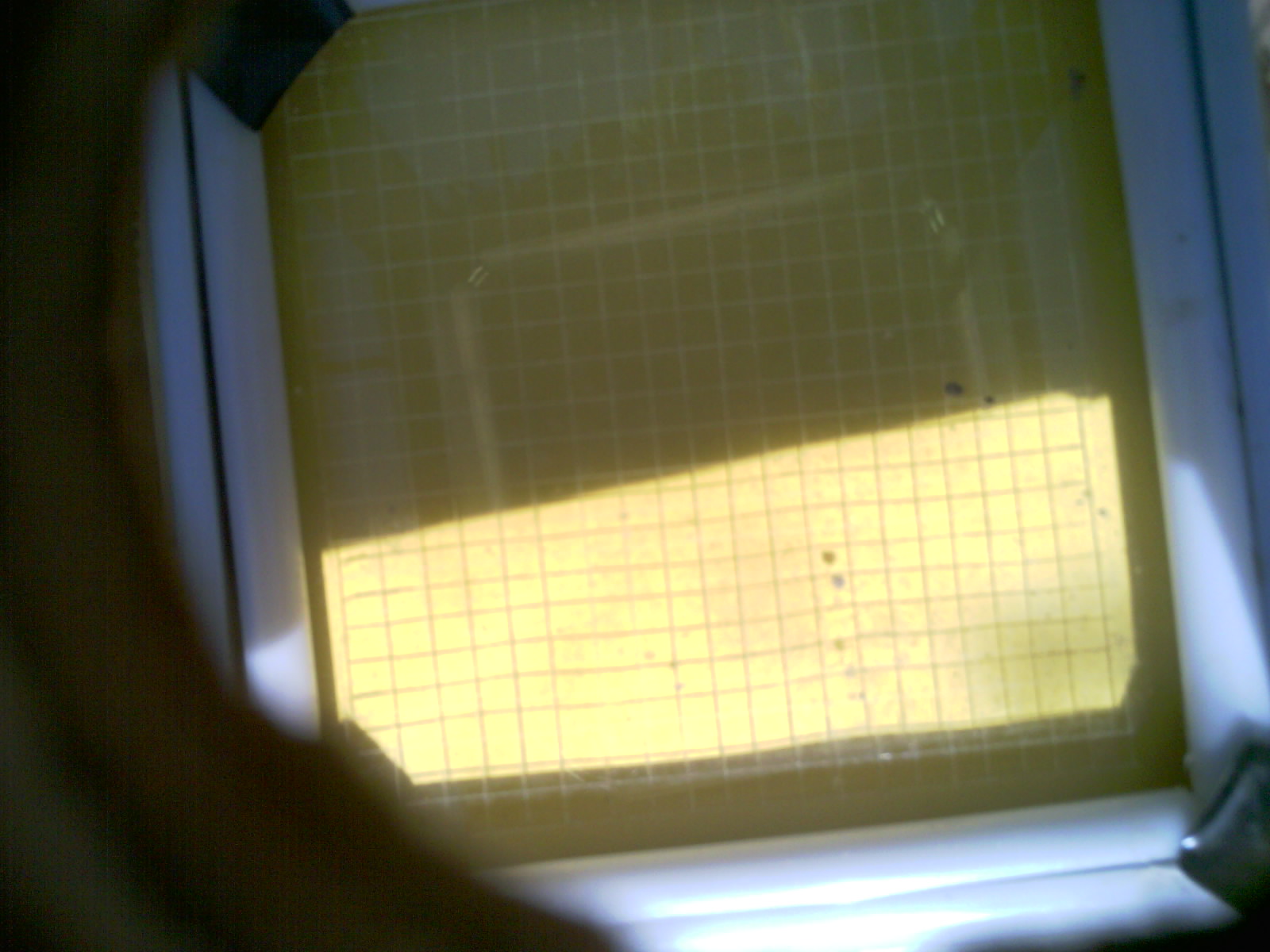 20260705_155426_UXGA_Q3.jpg