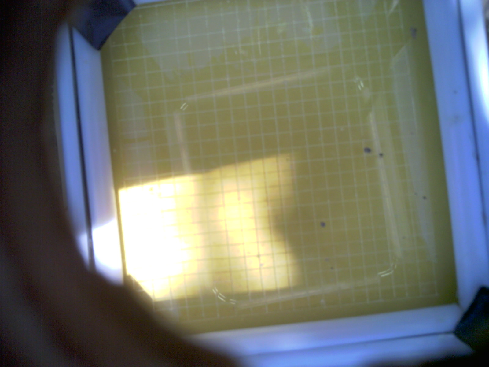 20260705_161647_UXGA_Q3.jpg