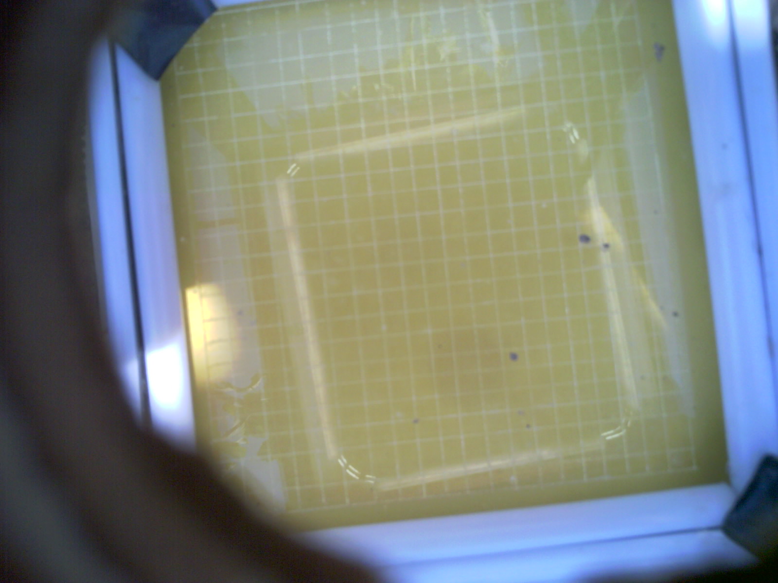 20260705_162620_UXGA_Q3.jpg
