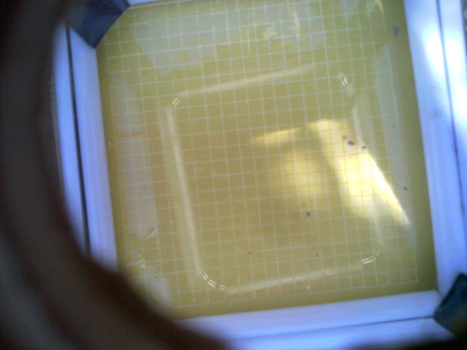 20260705_163333_UXGA_Q3.jpg
