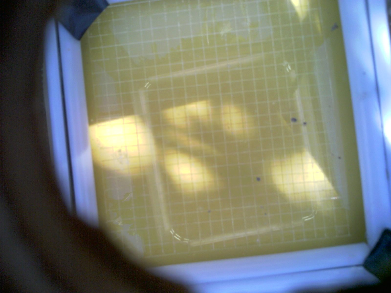 20260705_164931_UXGA_Q3.jpg