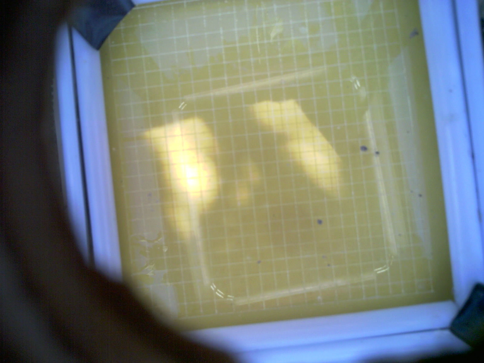 20260705_170735_UXGA_Q3.jpg