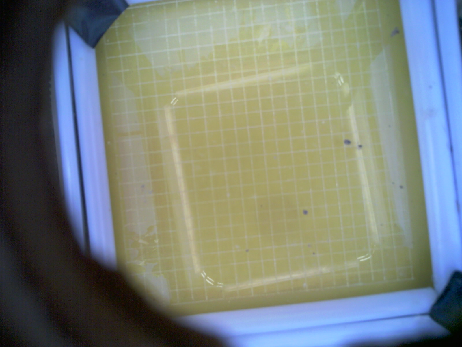 20260705_172824_UXGA_Q3.jpg