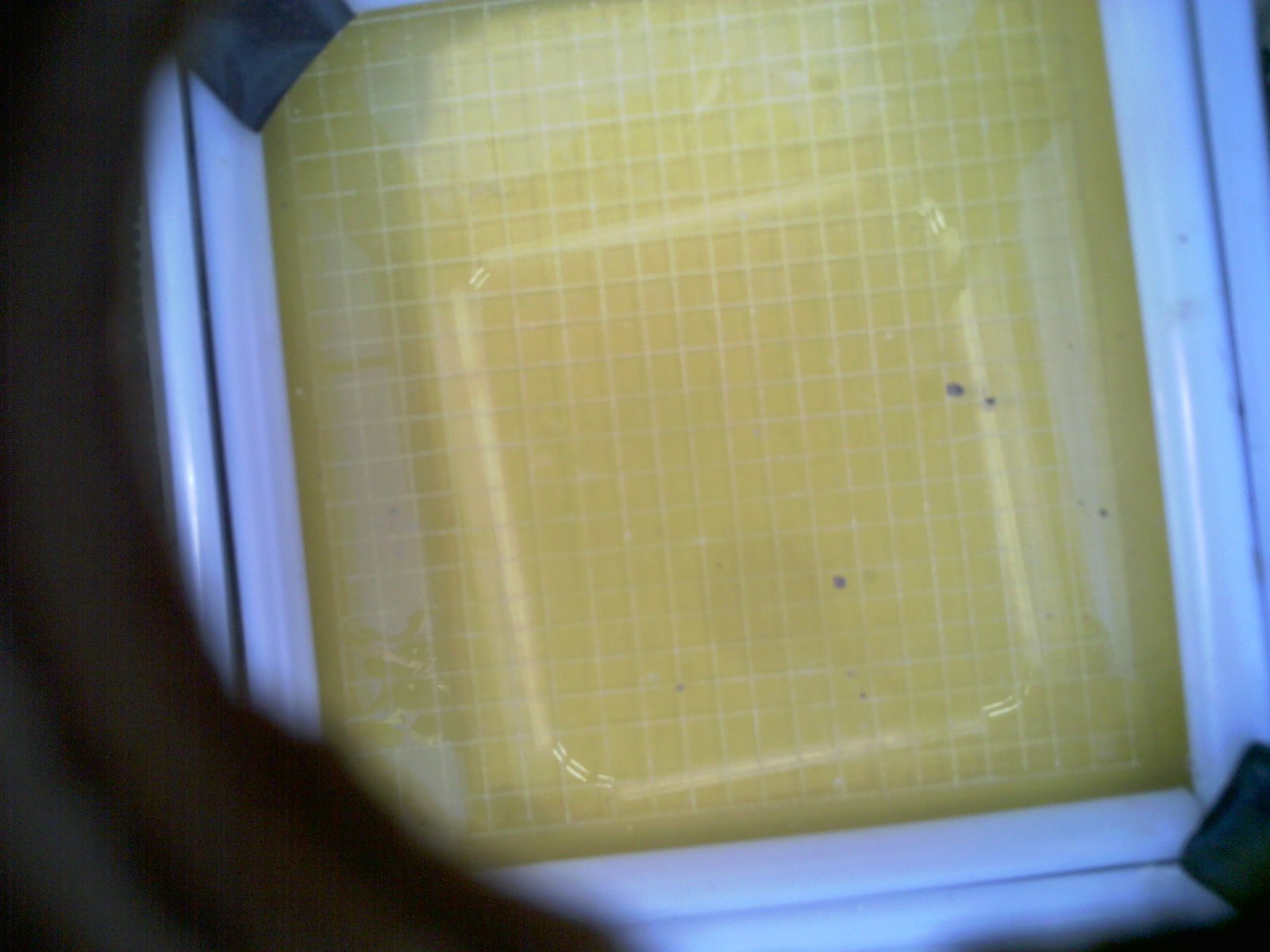 20260705_180120_UXGA_Q3.jpg
