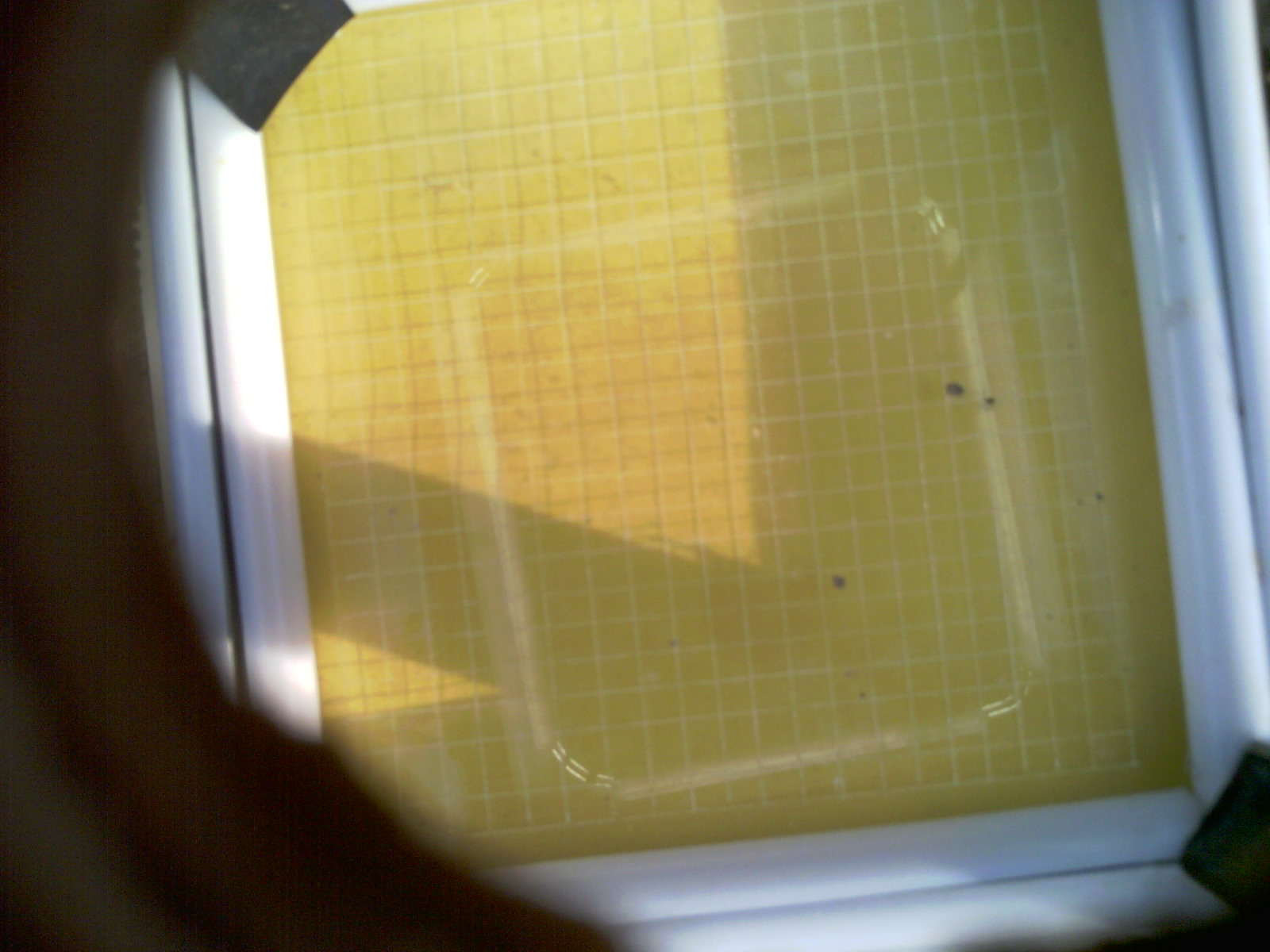 20260705_201909_UXGA_Q3.jpg