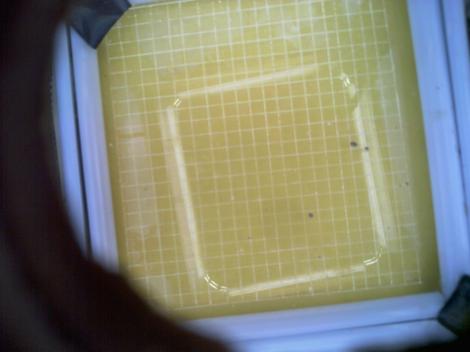 20260705_204342_UXGA_Q3.jpg