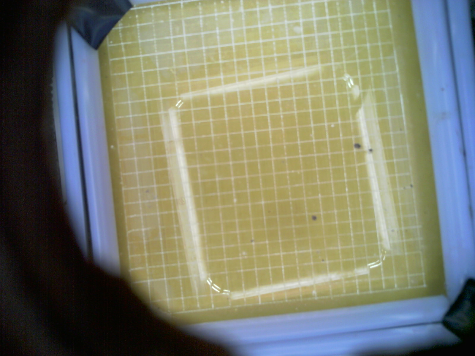 20260705_211404_UXGA_Q3.jpg