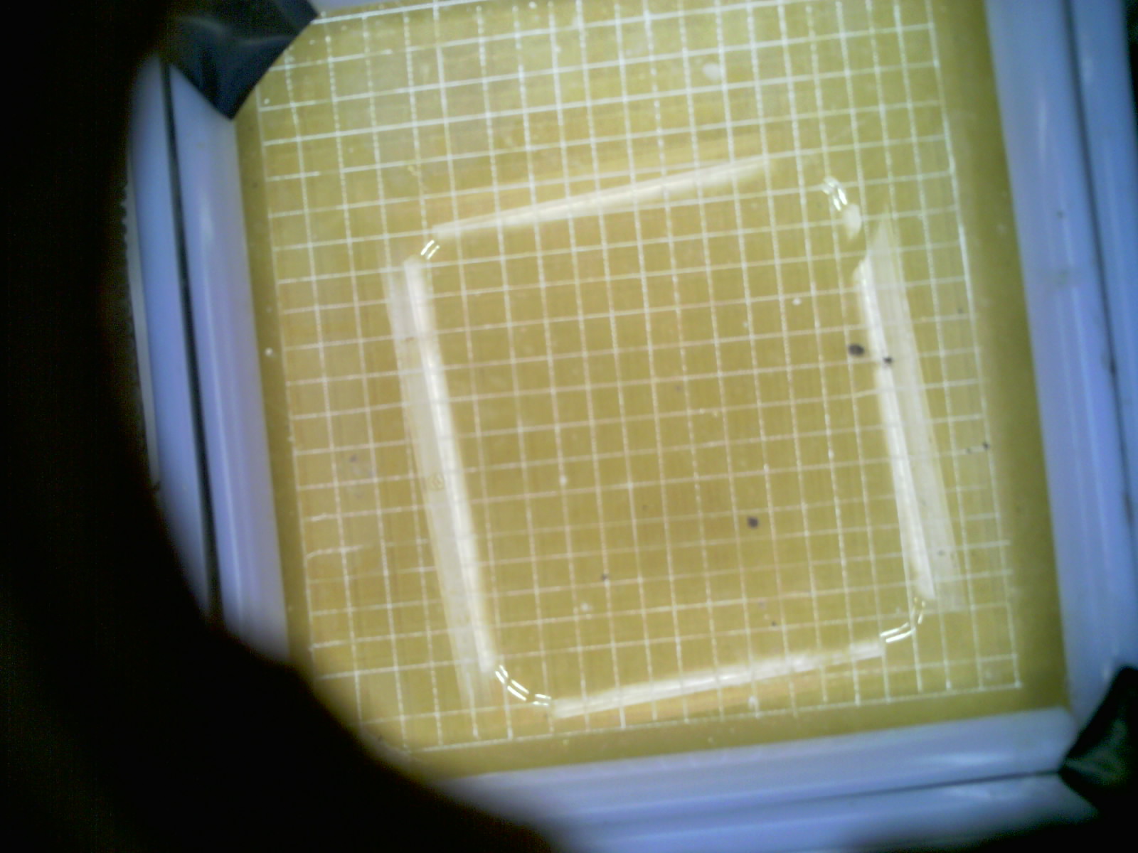 20260705_213924_UXGA_Q3.jpg