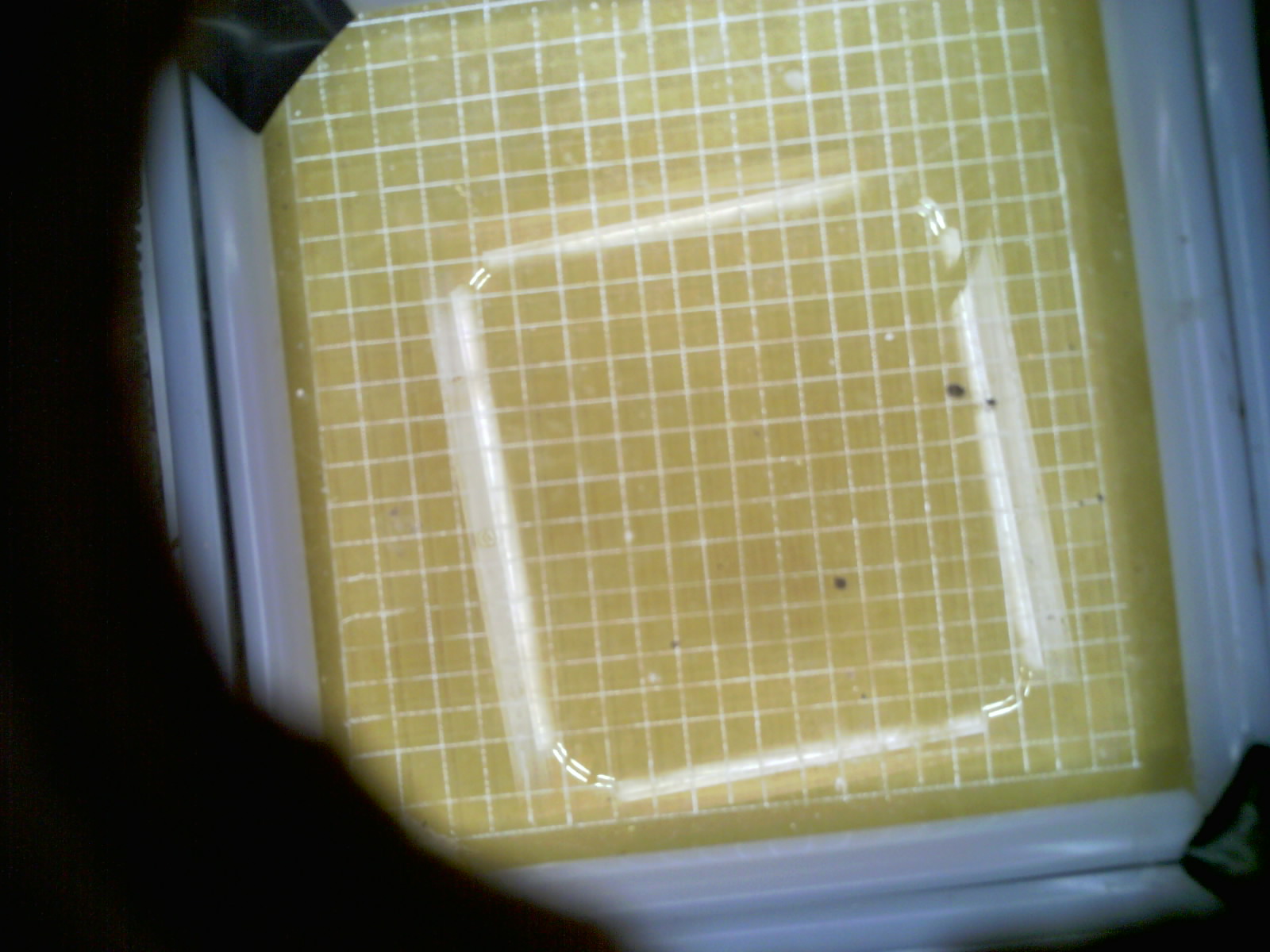 20260705_215953_UXGA_Q3.jpg