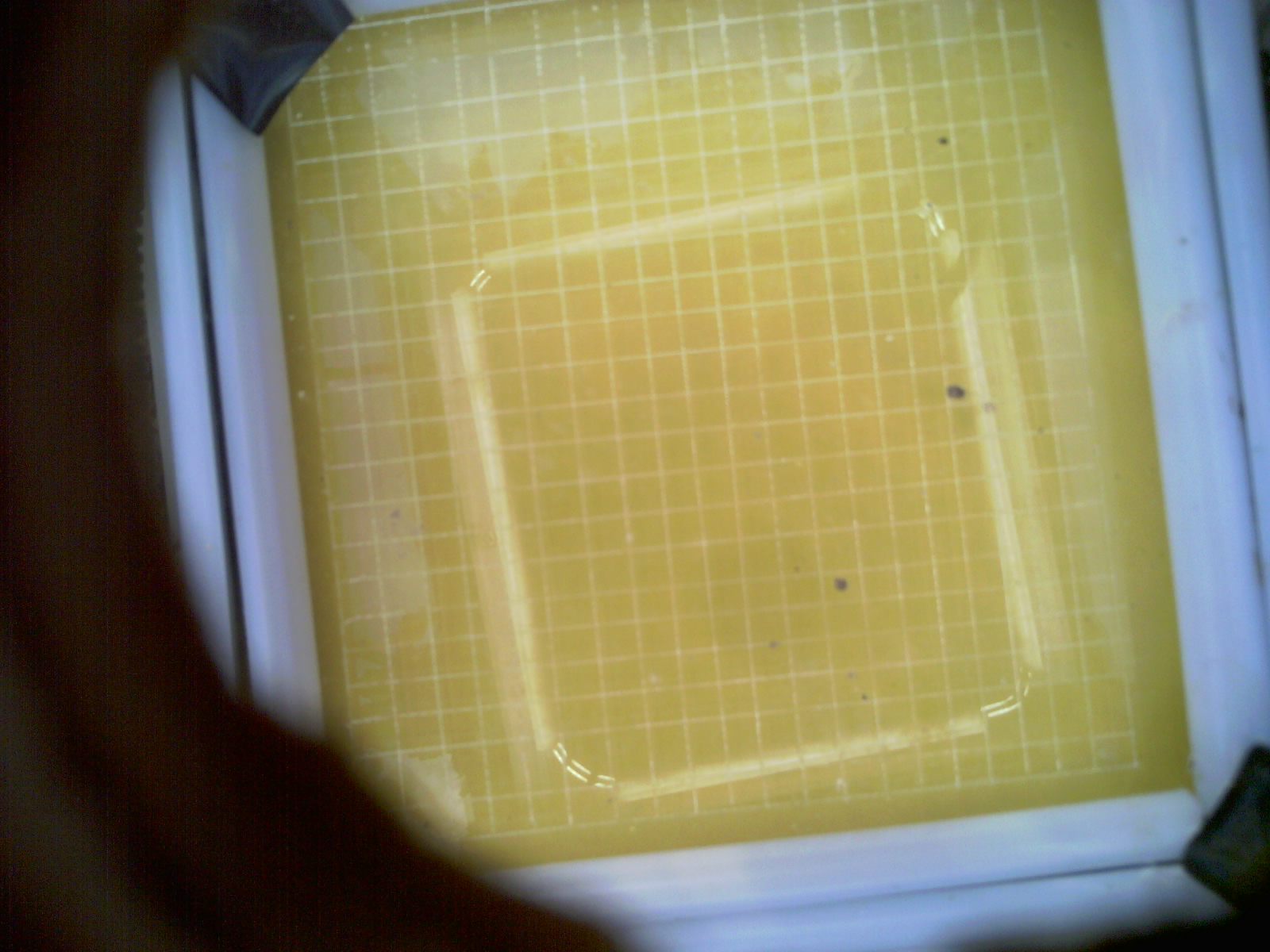 20260706_080657_UXGA_Q3.jpg