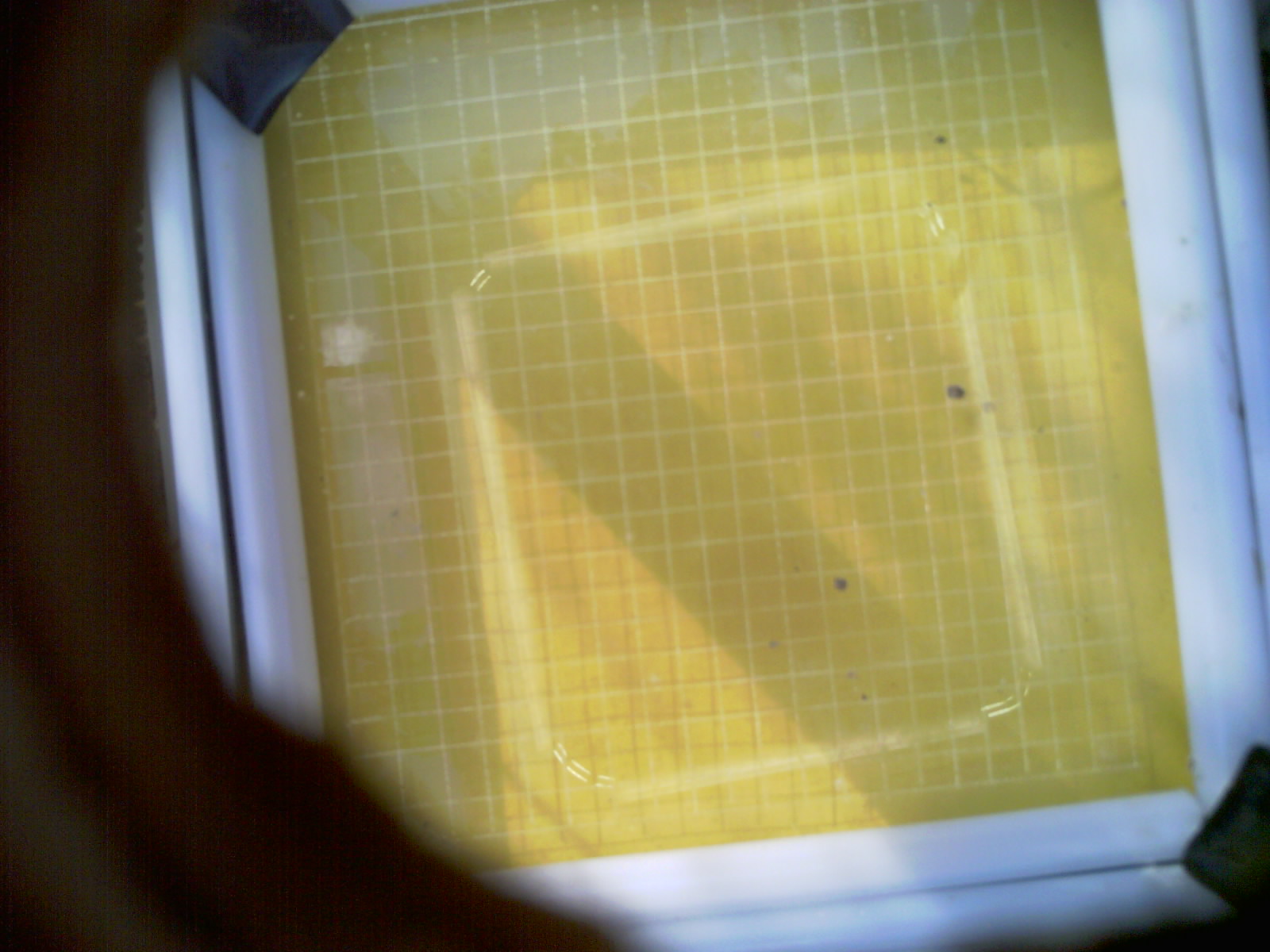 20260706_084718_UXGA_Q3.jpg