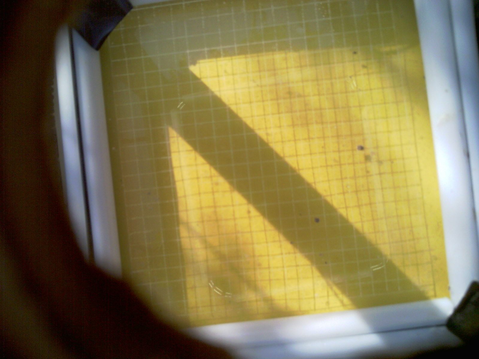 20260706_090649_UXGA_Q3.jpg