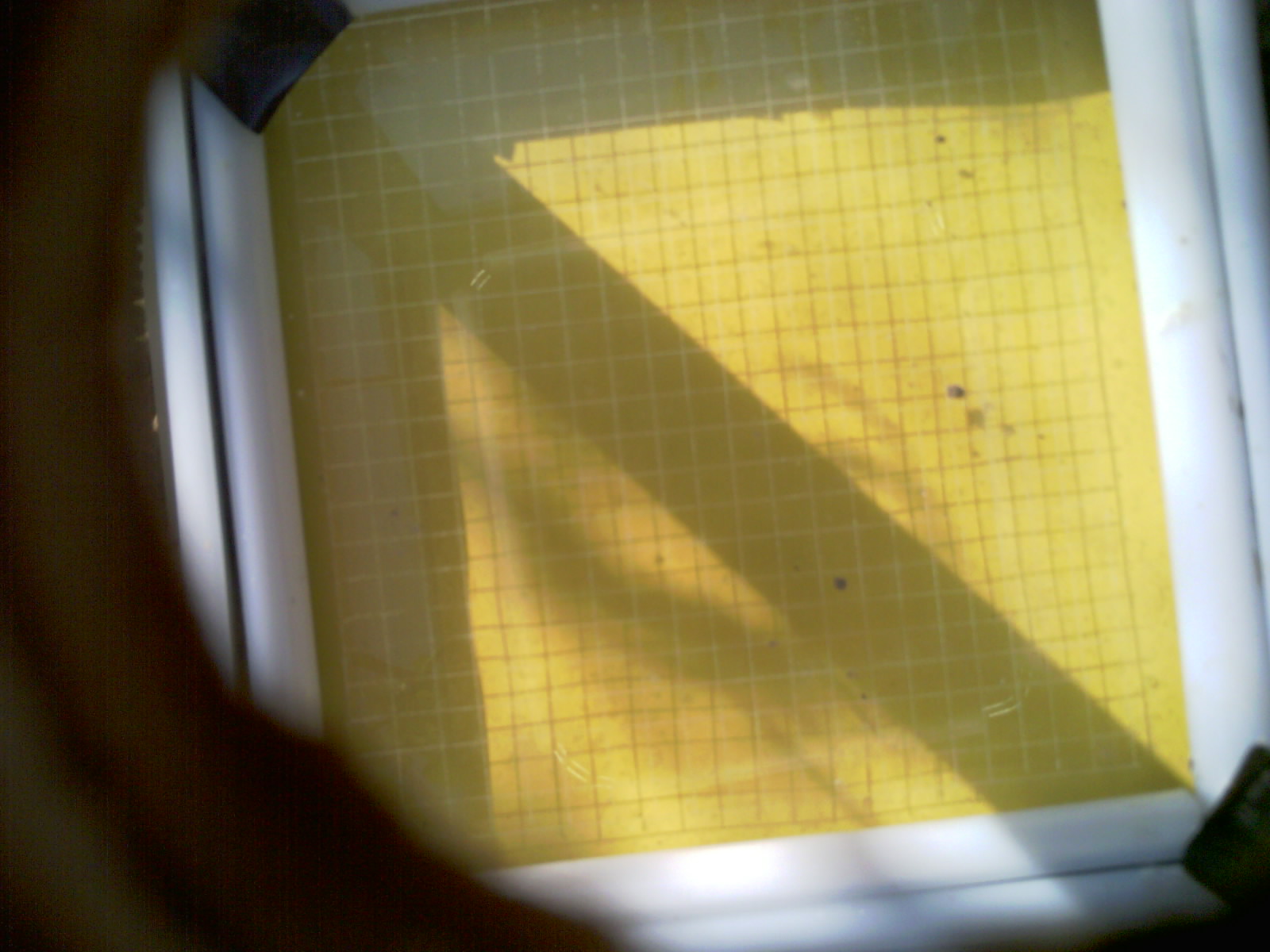 20260706_091547_UXGA_Q3.jpg