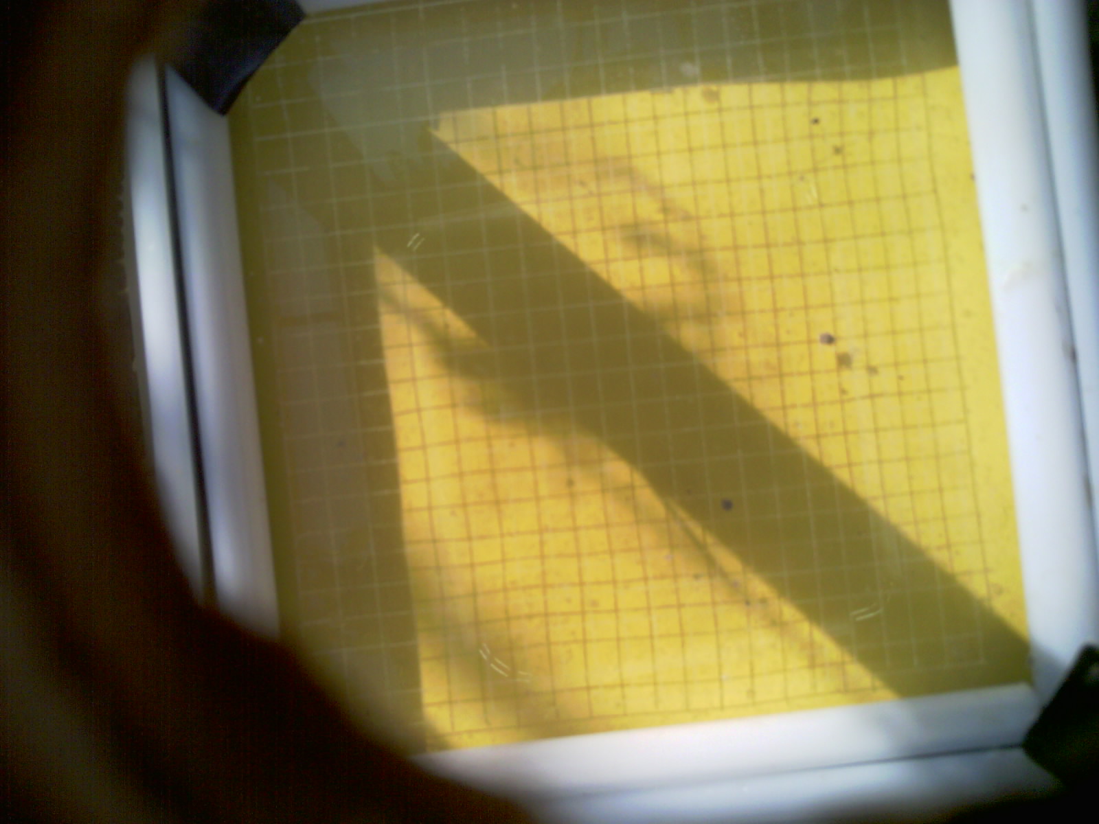 20260706_092447_UXGA_Q3.jpg