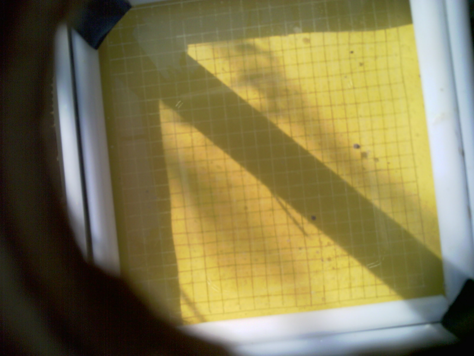 20260706_093304_UXGA_Q3.jpg