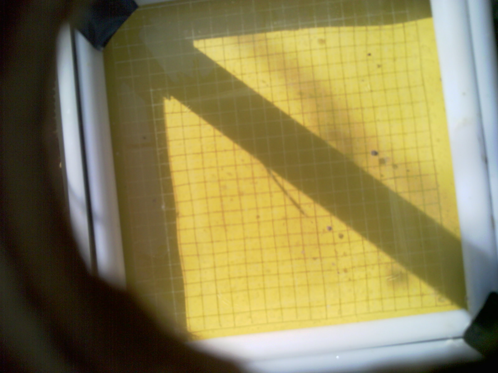 20260706_095202_UXGA_Q3.jpg