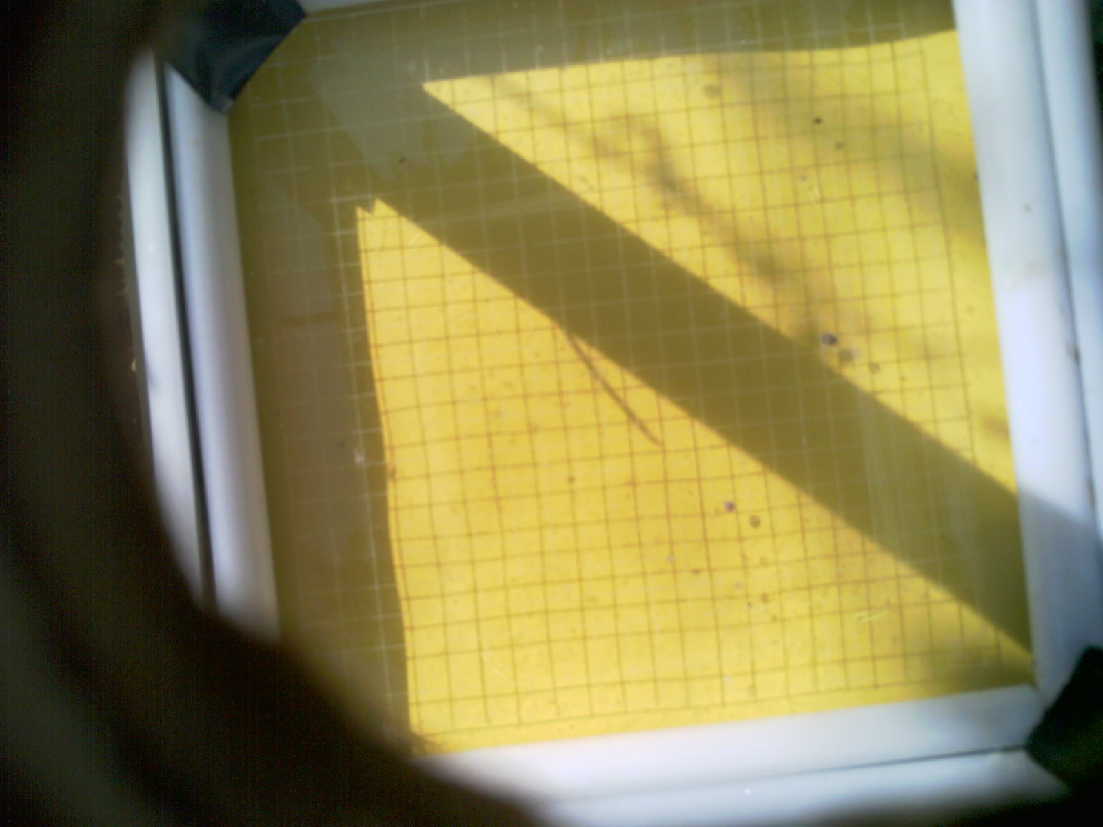 20260706_100157_UXGA_Q3.jpg