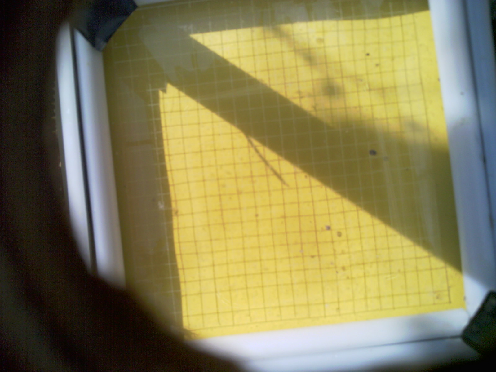 20260706_101135_UXGA_Q3.jpg