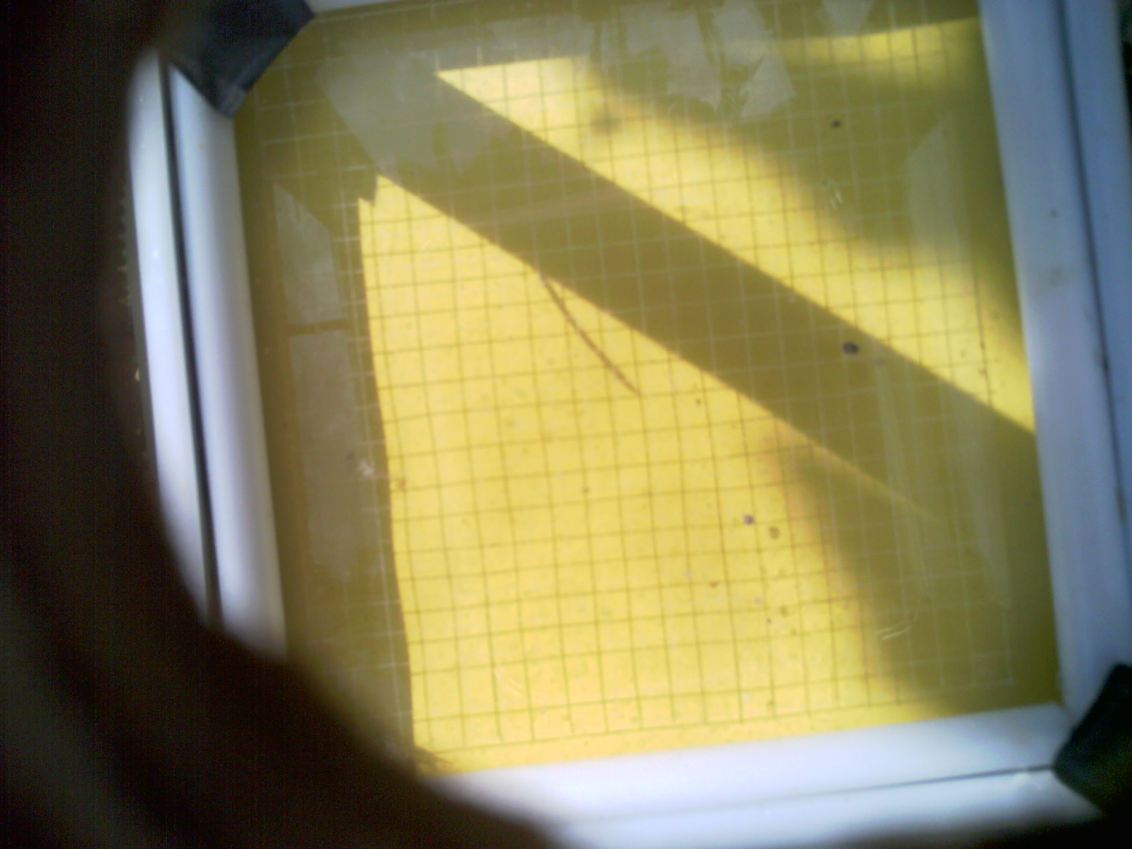 20260706_101722_UXGA_Q3.jpg