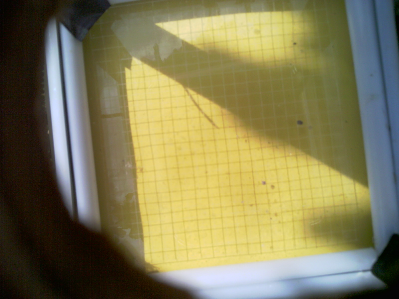 20260706_102313_UXGA_Q3.jpg
