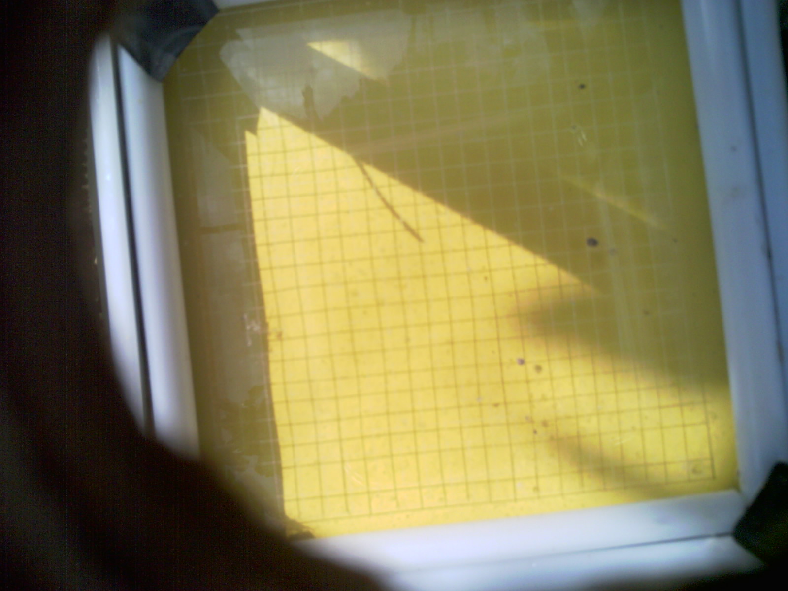 20260706_103109_UXGA_Q3.jpg