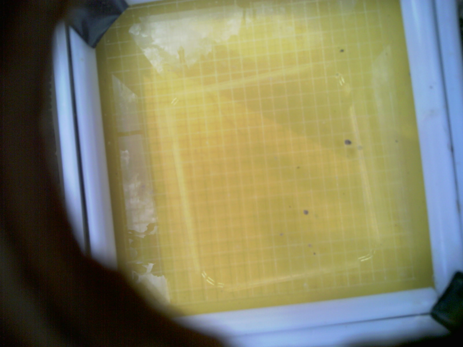 20260706_104031_UXGA_Q3.jpg