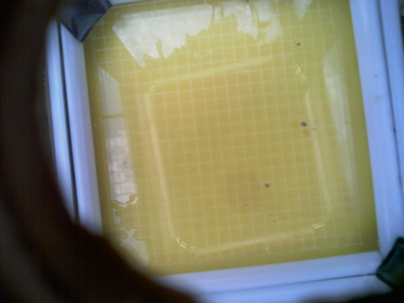 20260706_105405_UXGA_Q3.jpg