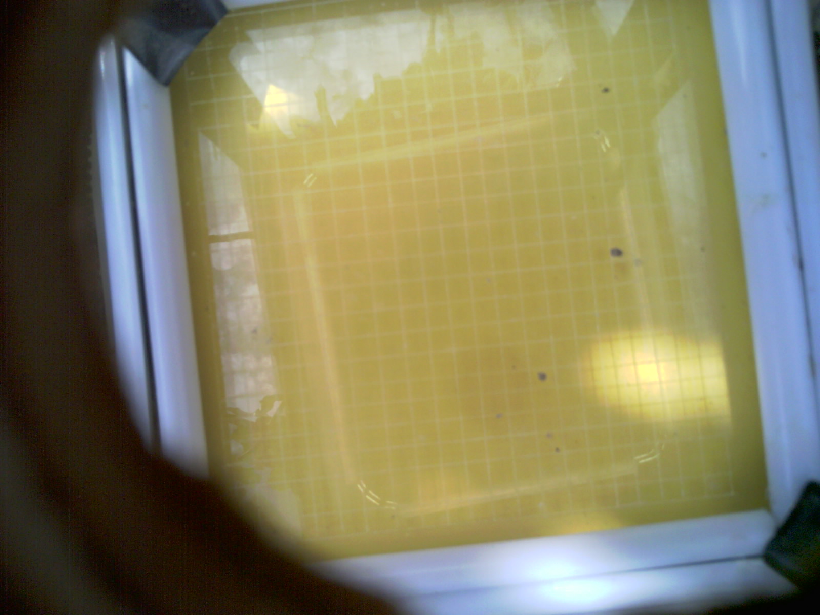 20260706_105953_UXGA_Q3.jpg