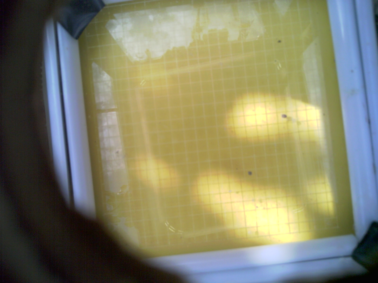 20260706_110534_UXGA_Q3.jpg