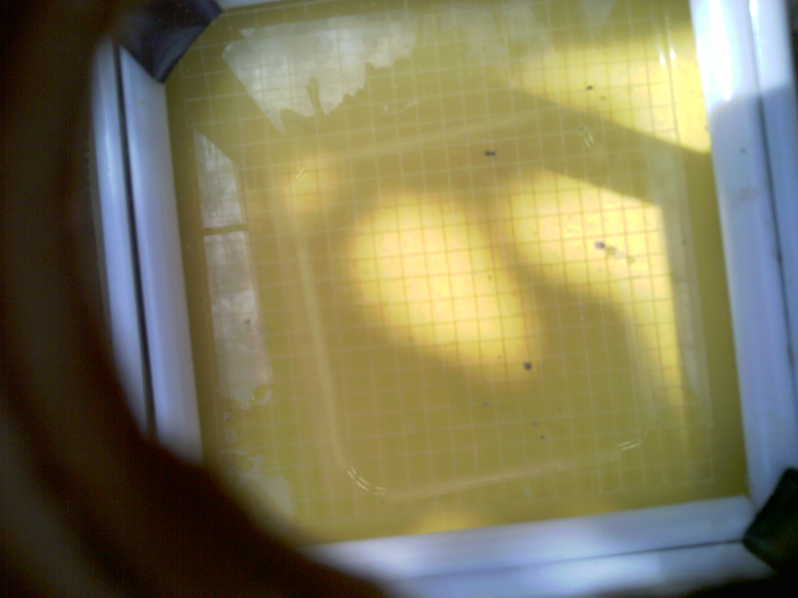 20260706_111117_UXGA_Q3.jpg