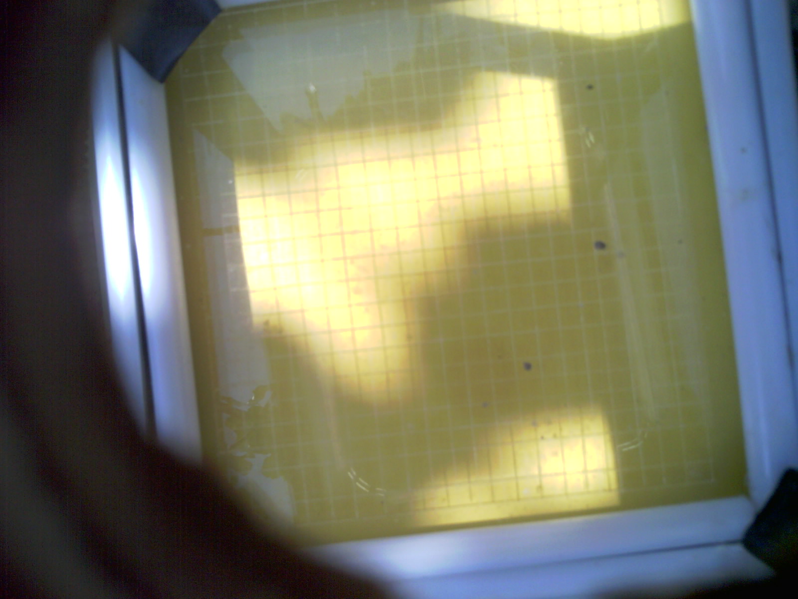 20260706_115114_UXGA_Q3.jpg