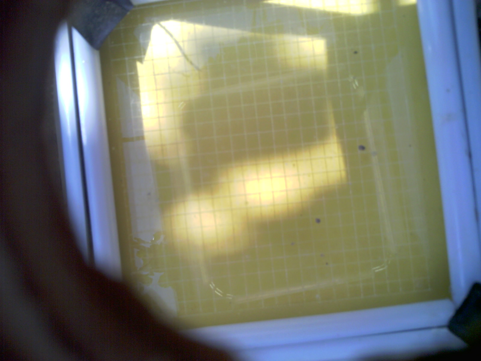 20260706_115654_UXGA_Q3.jpg