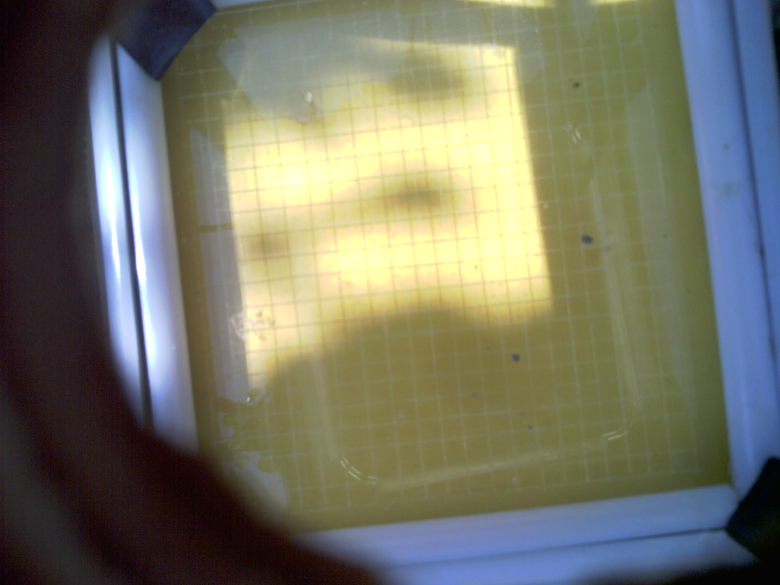 20260706_120235_UXGA_Q3.jpg