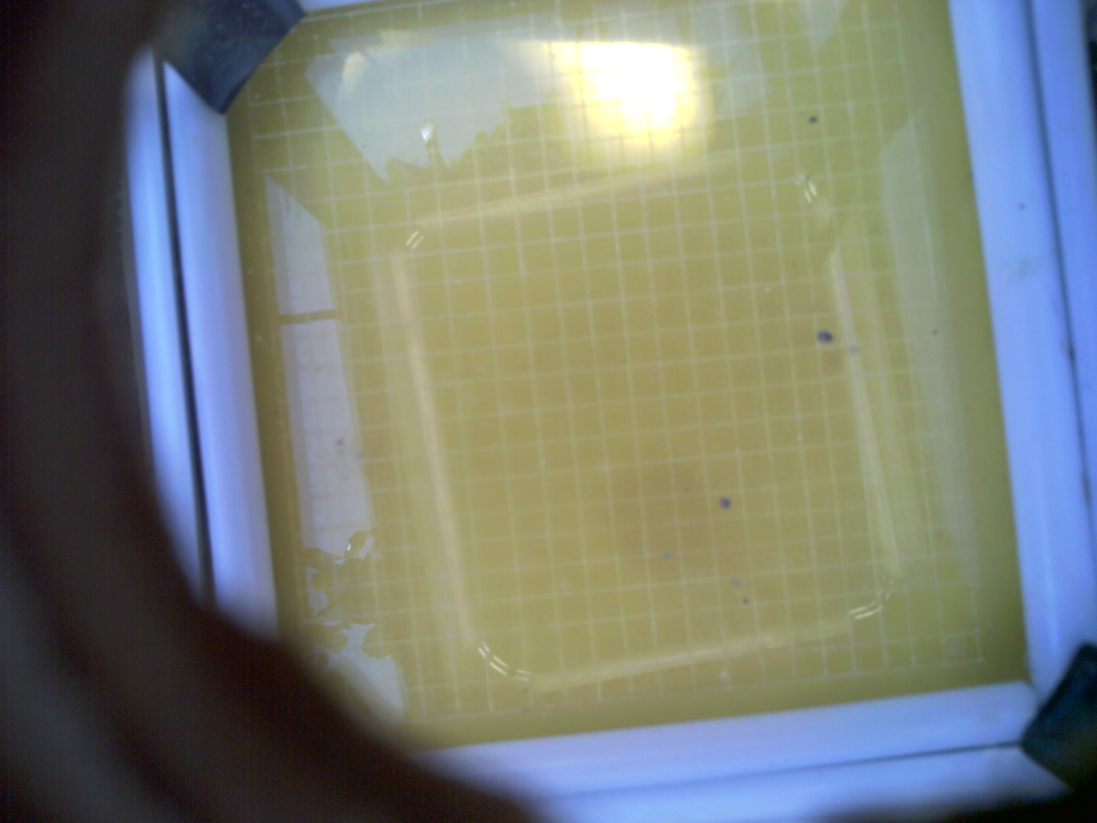 20260706_120816_UXGA_Q3.jpg