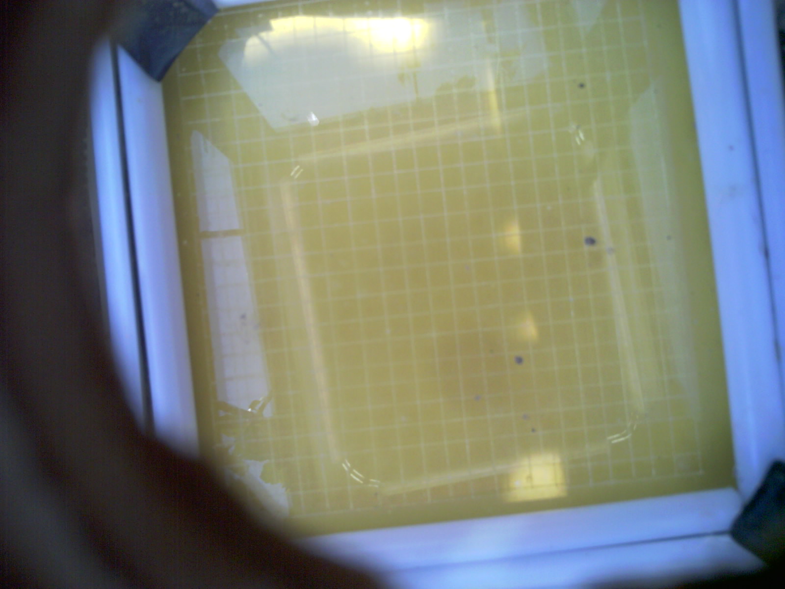 20260706_121658_UXGA_Q3.jpg
