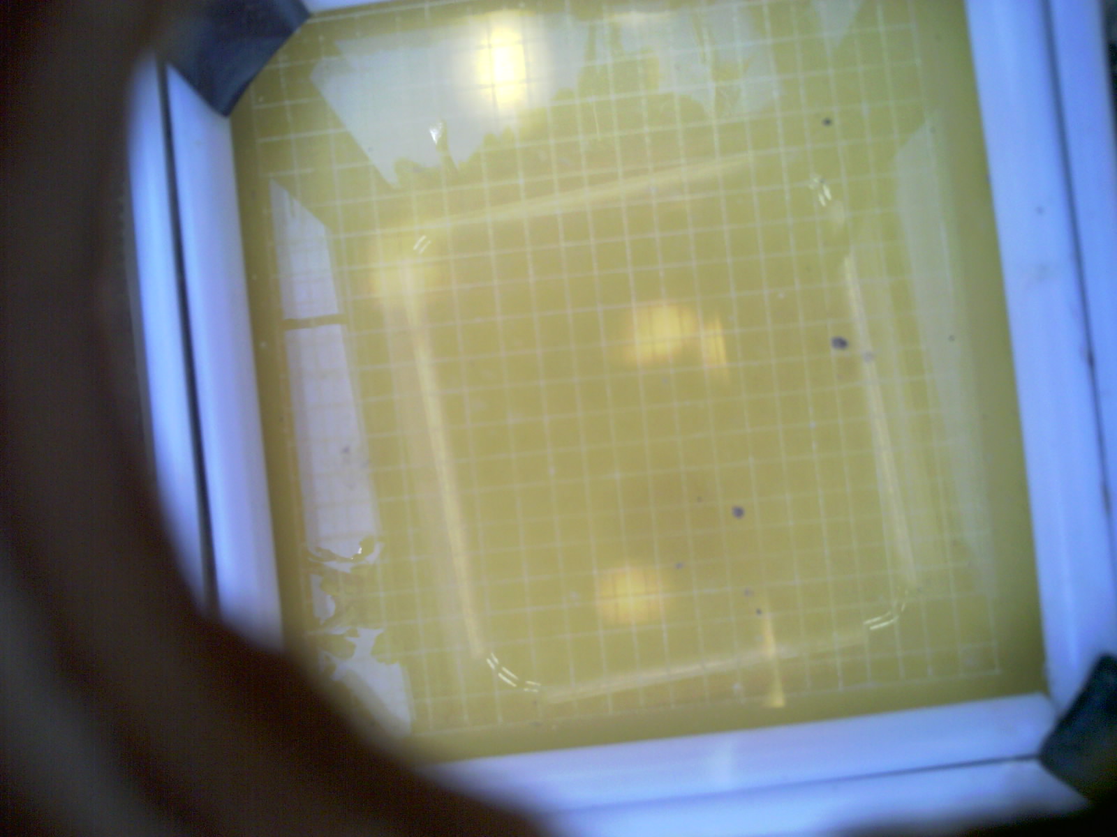 20260706_122514_UXGA_Q3.jpg